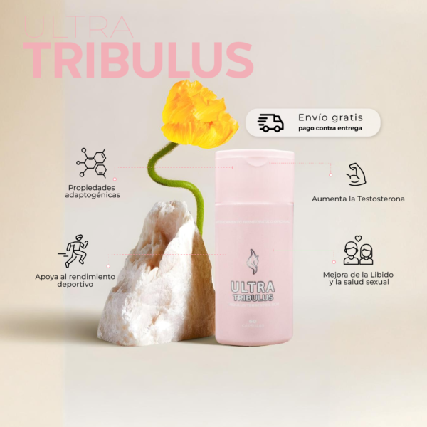 Ultra tribulus - Image 2